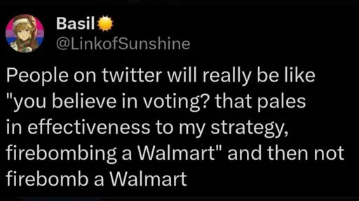 Screencap of a tweet that says: Basil @LinkofSunshine People on twitter will really be like "you believe in voting? that pales in effectiveness to my strategy, firebombing a Walmart" and then not firebomb a Walmart