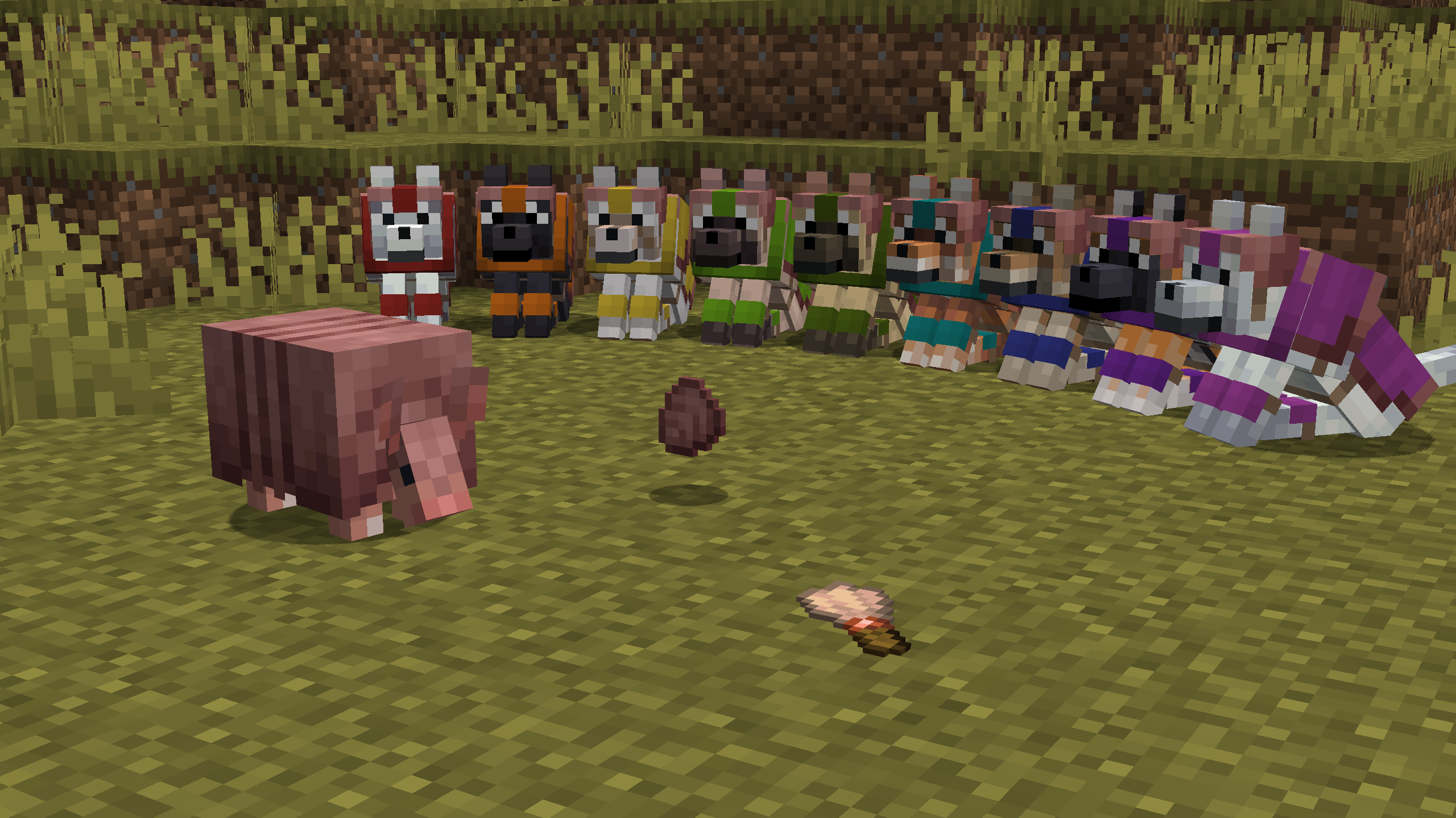 An armadillo in a savanna biome, being looked at by nine different looking wolves, sitting in a semicircle. There is a brush lying on the floor, with a dropped armadillo scute next to it.